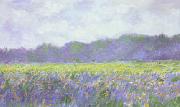 Field of Yellow Iris at Giverny, Claude Monet